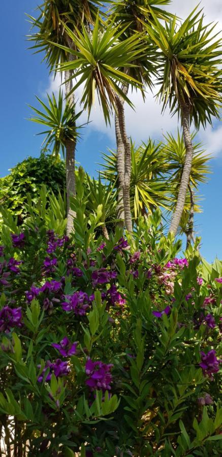 Villa Quinta Da Violeta 楼尔 外观 照片