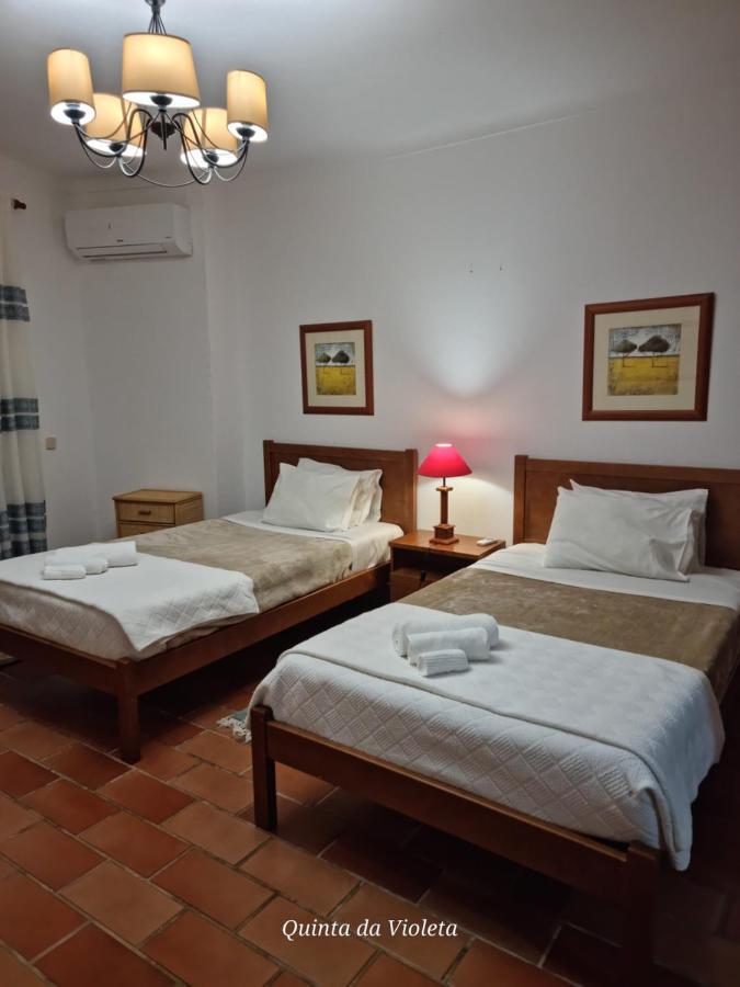 Villa Quinta Da Violeta 楼尔 外观 照片