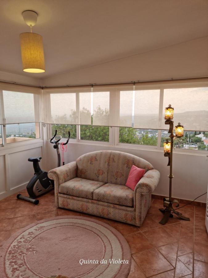 Villa Quinta Da Violeta 楼尔 外观 照片