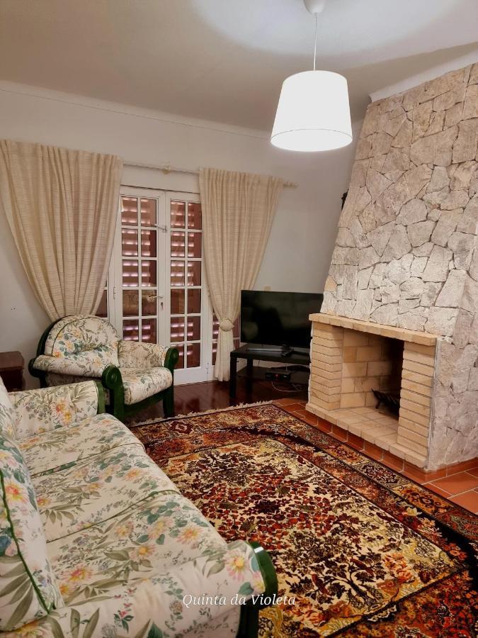 Villa Quinta Da Violeta 楼尔 外观 照片