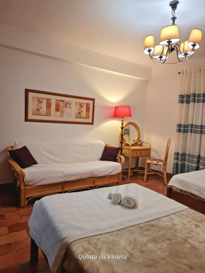 Villa Quinta Da Violeta 楼尔 外观 照片