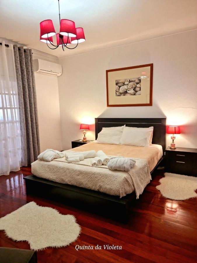 Villa Quinta Da Violeta 楼尔 外观 照片