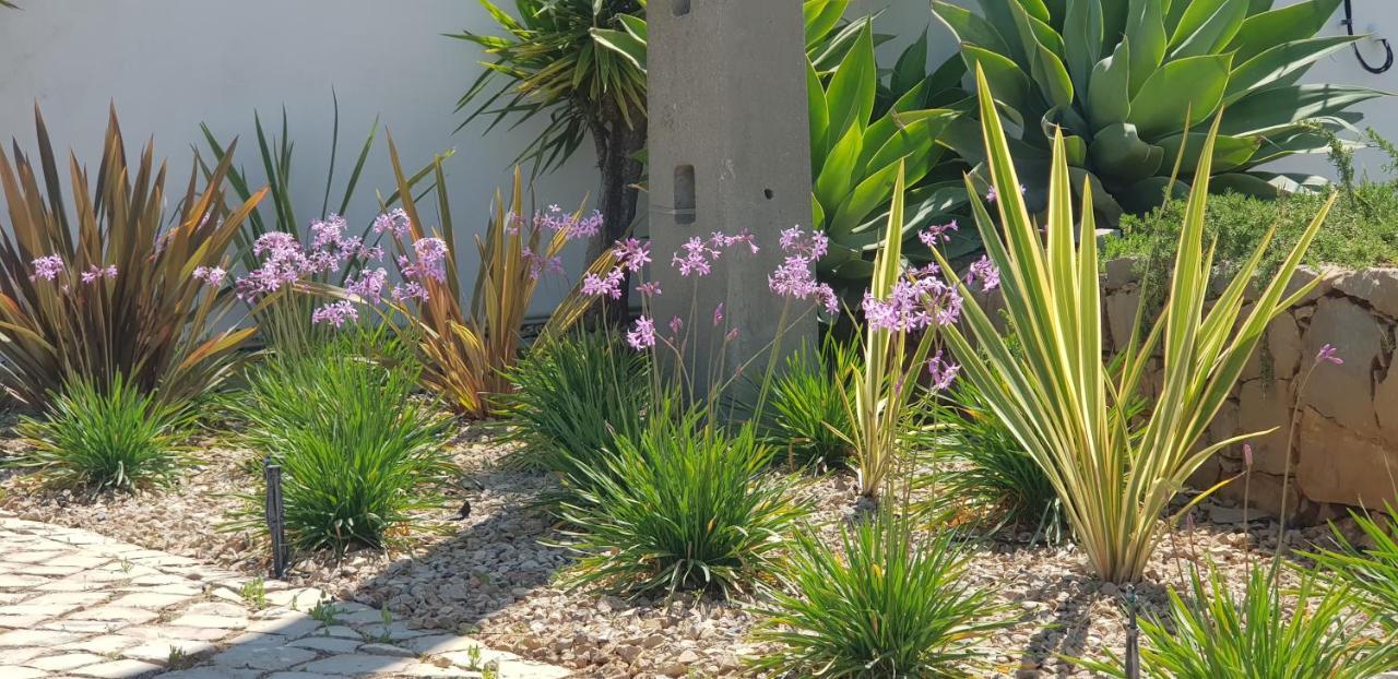 Villa Quinta Da Violeta 楼尔 外观 照片