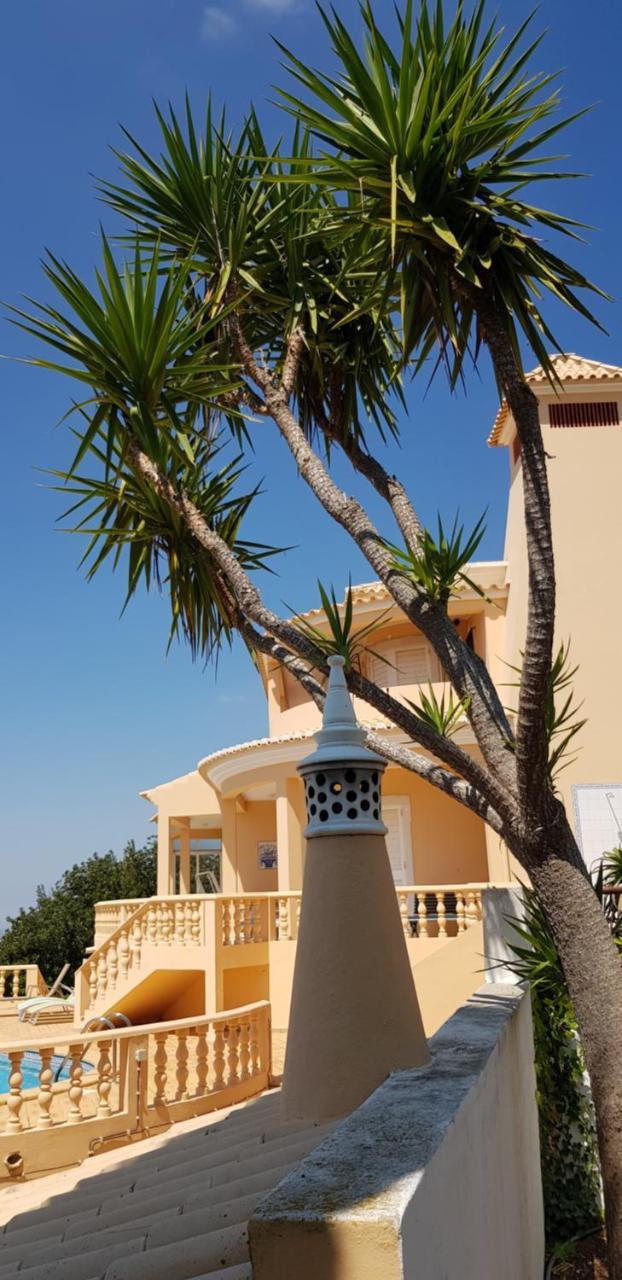 Villa Quinta Da Violeta 楼尔 外观 照片